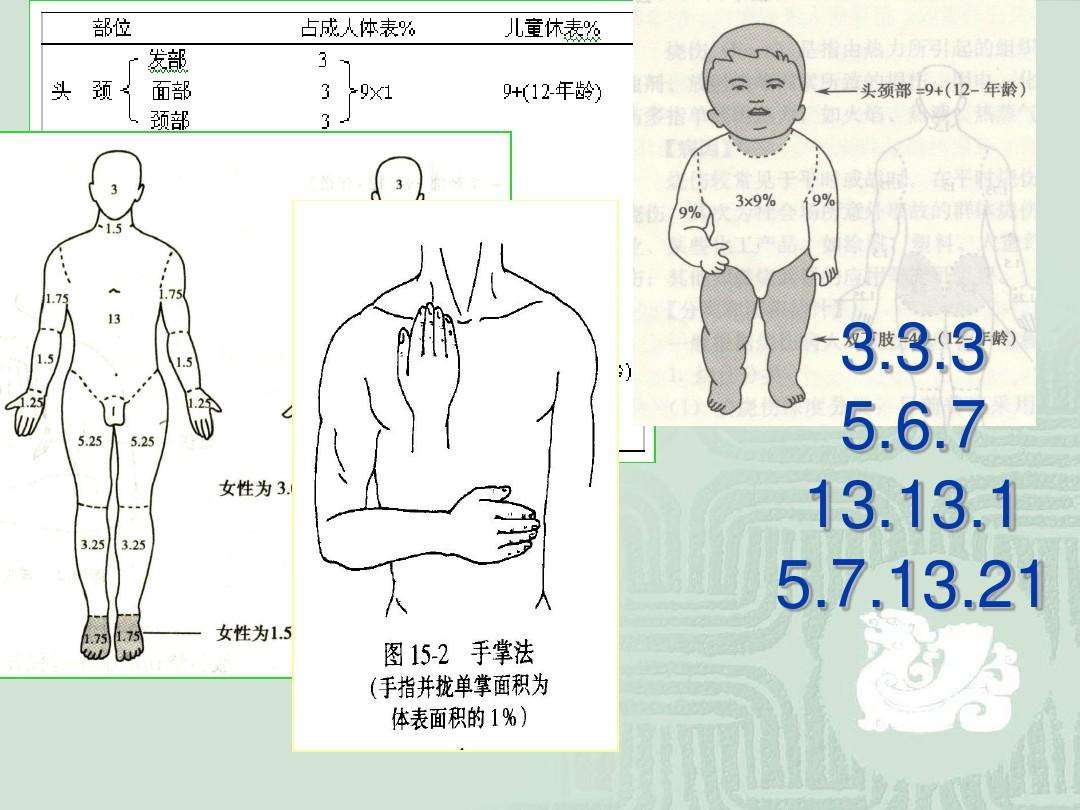 整形外科必须掌握的内容(图1)