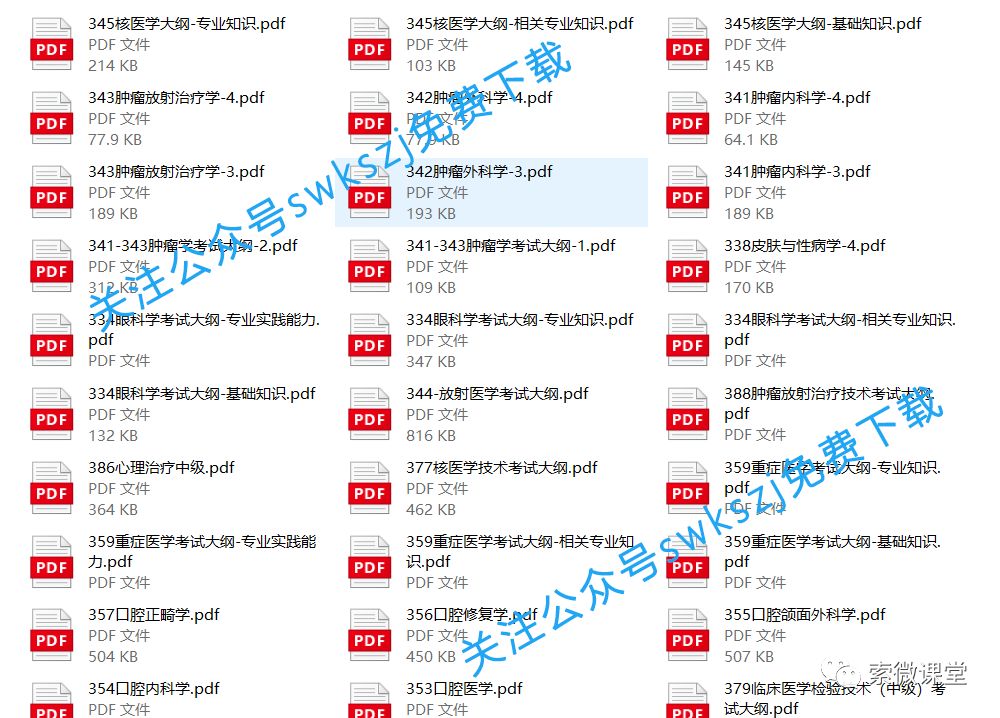 2020年度卫生专业技术考试大纲免费下载(图4)